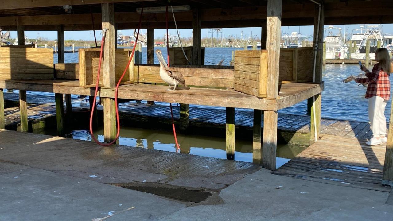 Resort Lodging At Venice Marina W/ Wifi + Private Dock Buitenkant foto